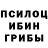 Галлюциногенные грибы Psilocybe neythan alarcon
