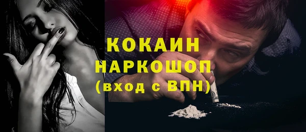 индика Абинск