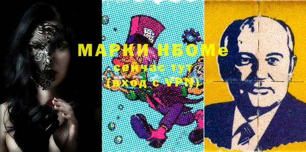 индика Абинск