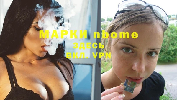 индика Абинск