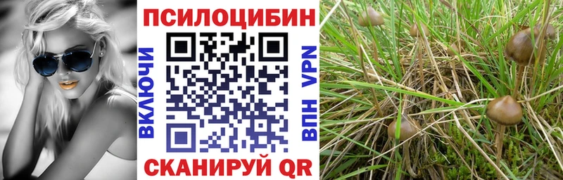 Псилоцибиновые грибы ЛСД  Фокино 